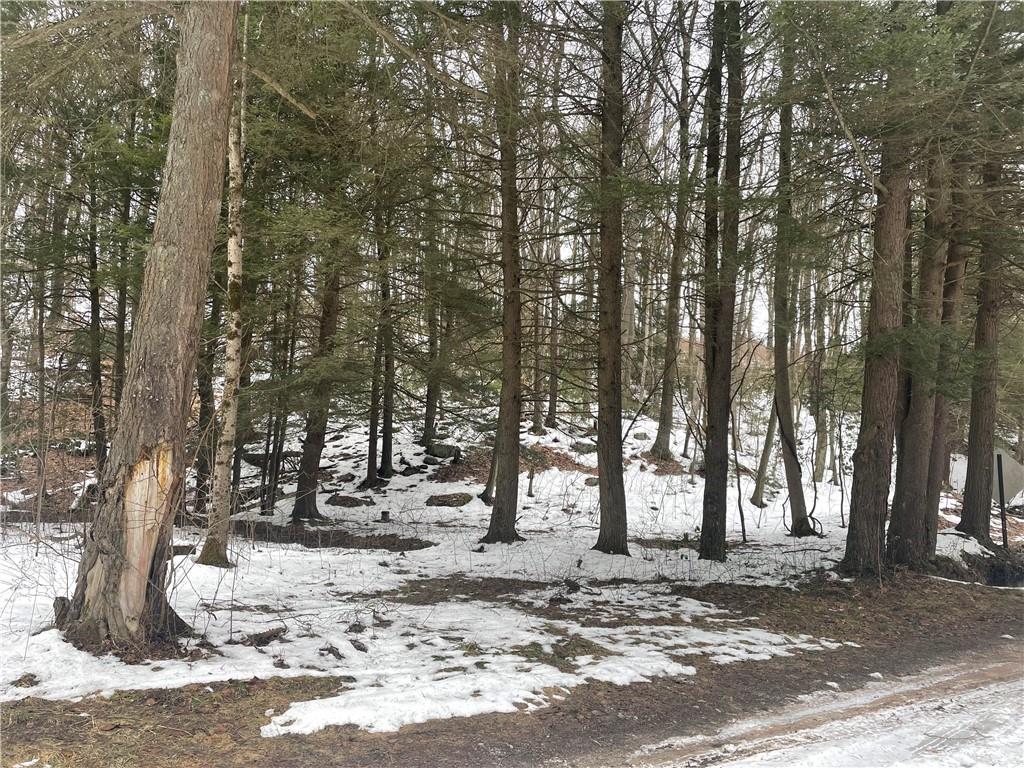0 Sandy Run Road Confluence, PA 15557 - Photo 1 of 5 Gallery Image 1