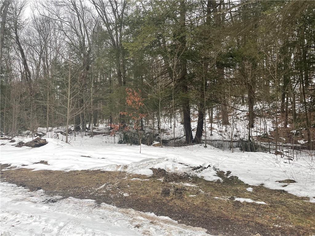 0 Sandy Run Road Confluence, PA 15557 - Photo 5 of 5 Gallery Image 5