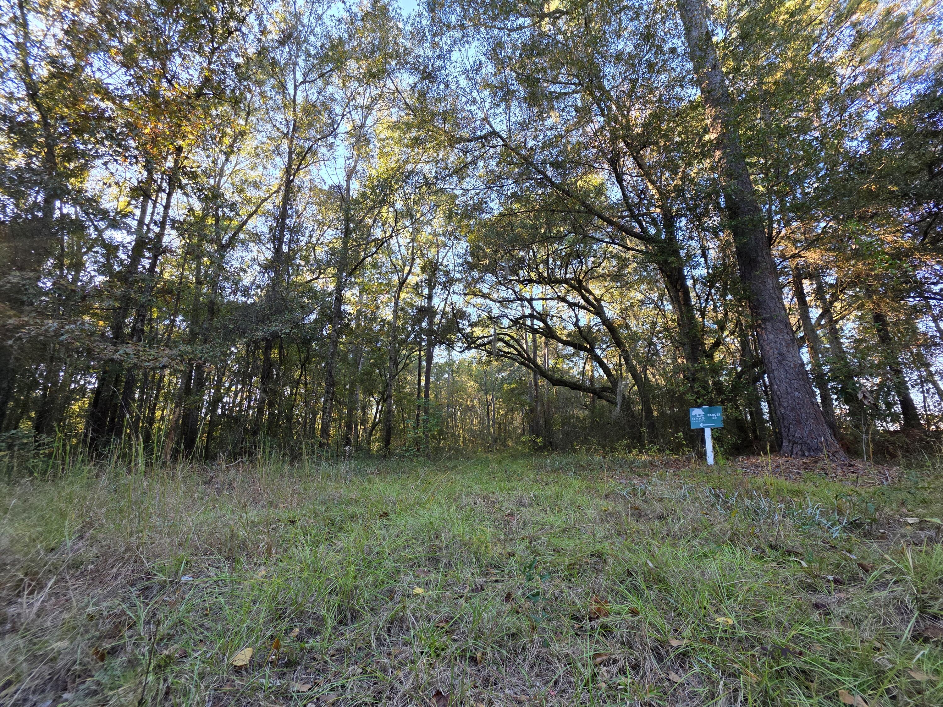 8750 Old Georgetown Road McClellanville, SC 29458 - Photo 3 of 8 6.87 acres