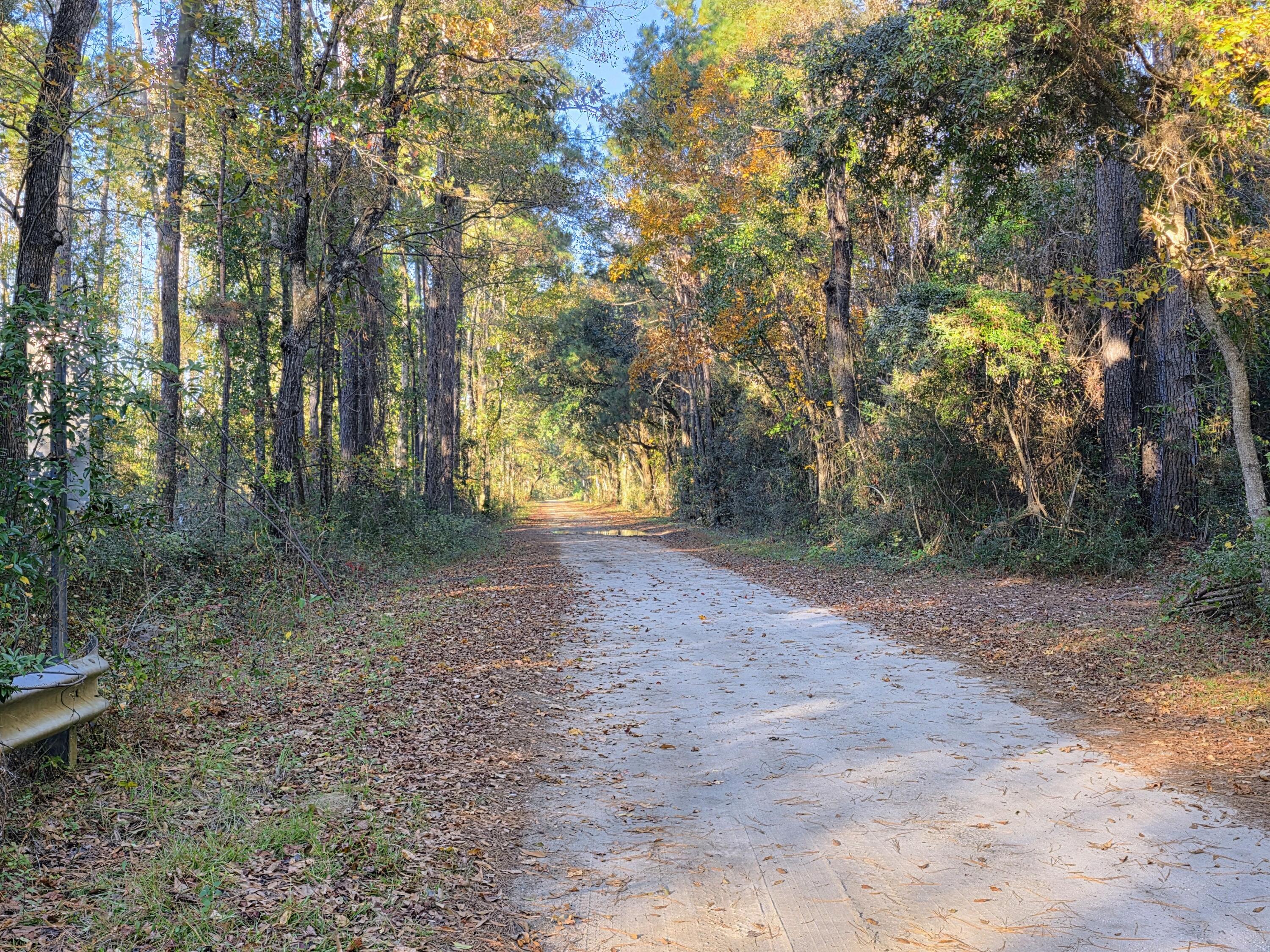 8750 Old Georgetown Road McClellanville, SC 29458 - Photo 8 of 8 Old Georgetown Rd