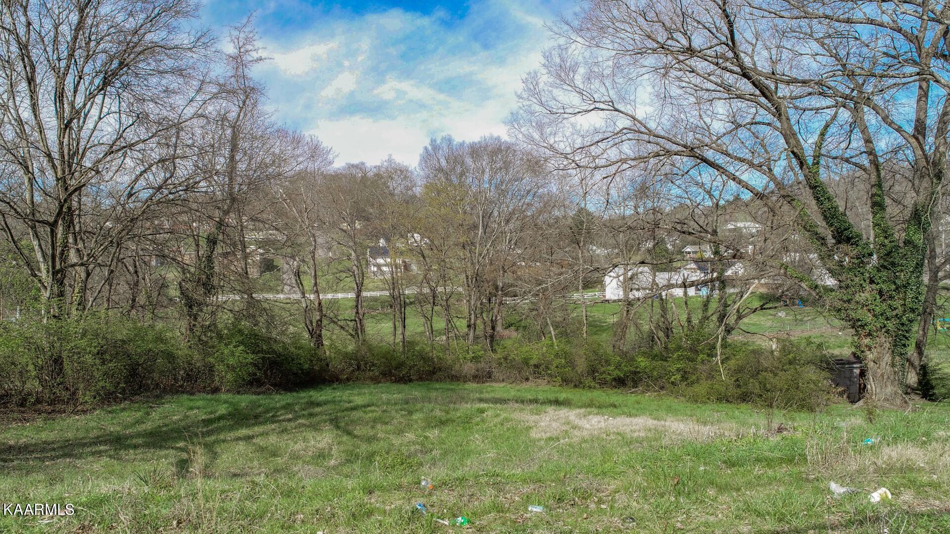 135 Blazer Street Newport, TN 37821 - Photo 4 of 12 4