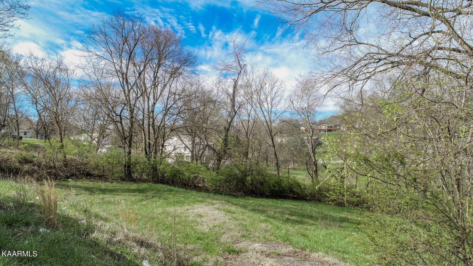 135 Blazer Street Newport, TN 37821 - Photo 8 of 12 8