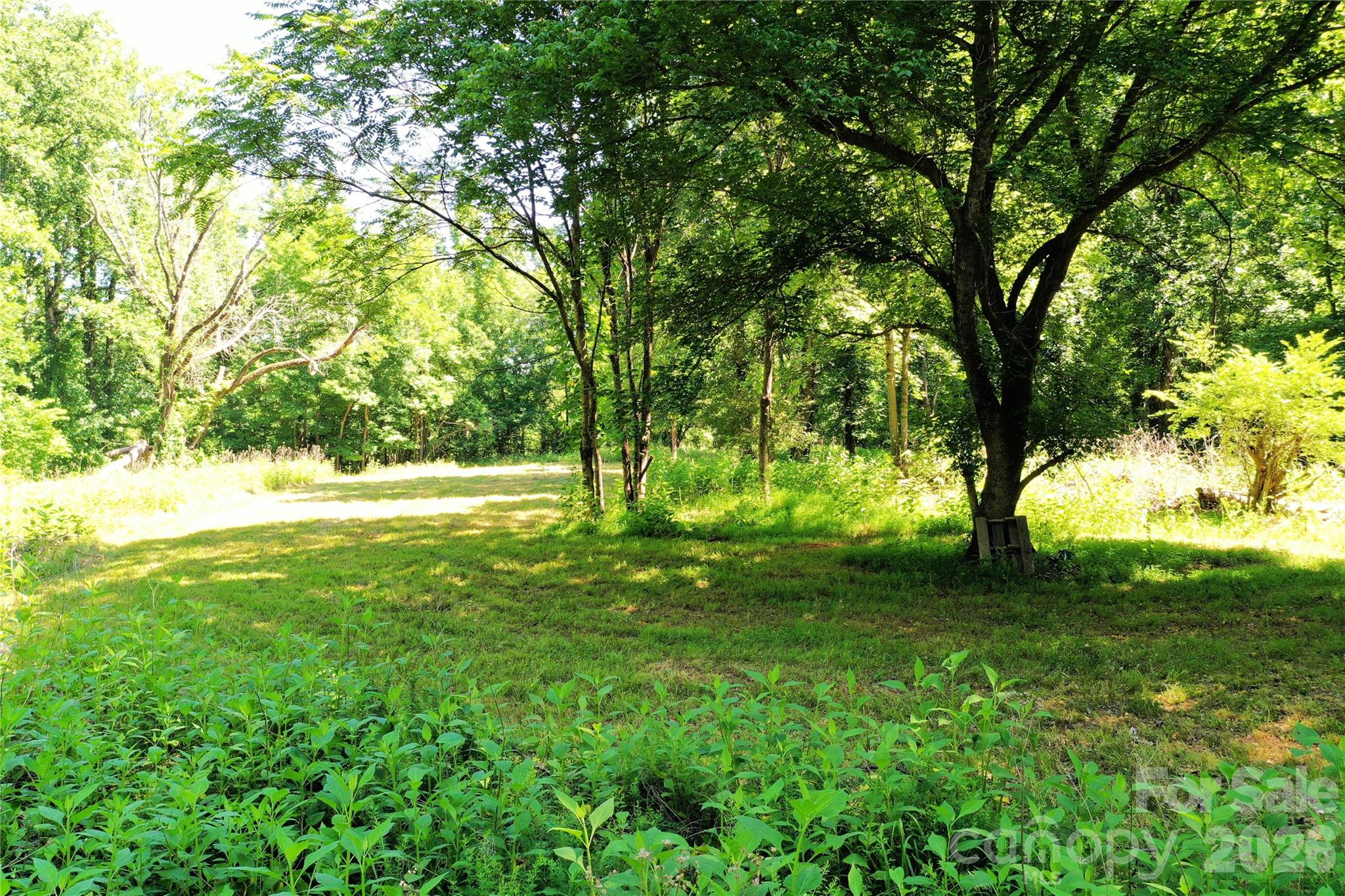 0 River Road Tryon, NC 28782 - Photo 13 of 30