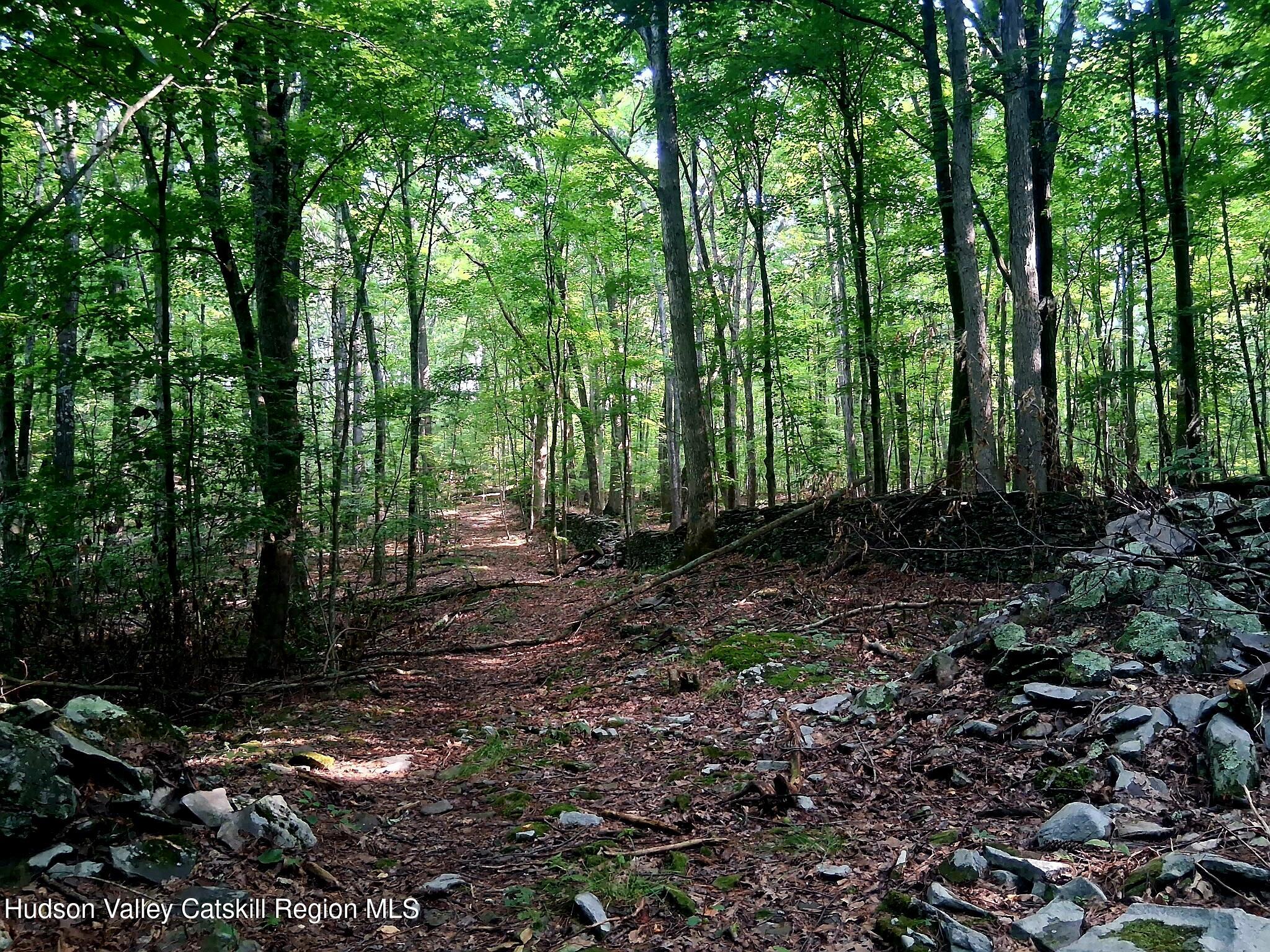 248 Canniff Road Freehold, NY 12431 - Photo 11 of 20 IMG_20260811_215939