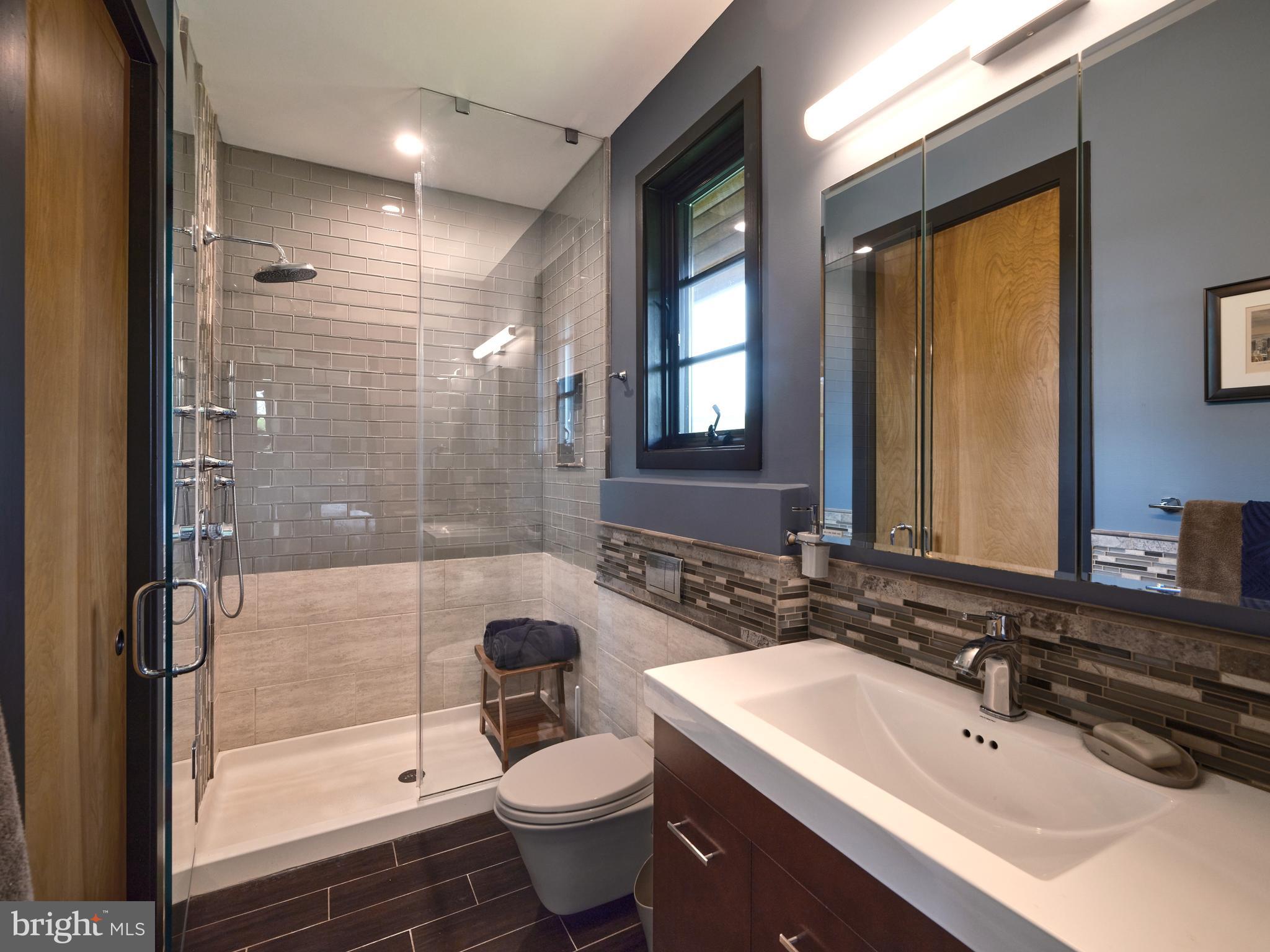 48 Street Road New Hope, PA 18938 - Photo 43 of 119 a bathroom with a sink a toilet and shower