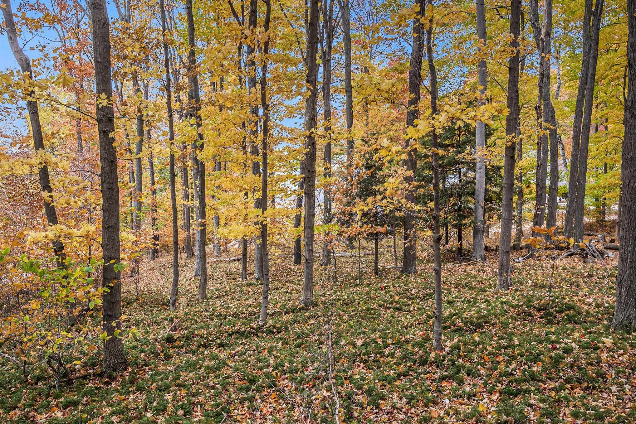0 Treetops Lane Frankfort, MI 49635 - Photo 7 of 16