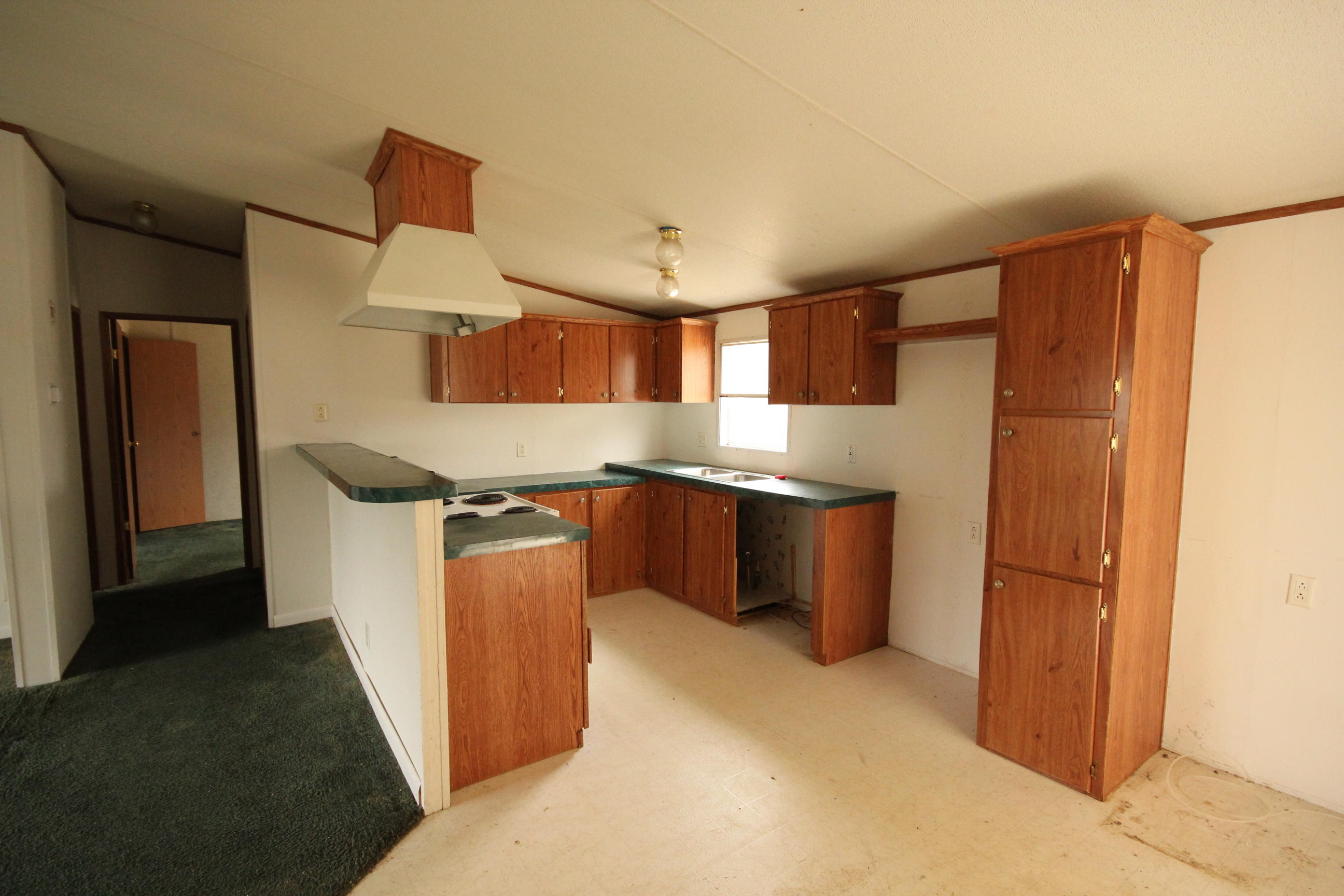 3958 Flower Gap Road Cana, VA 24317 - Photo 2 of 16 IMG_4043.JPG