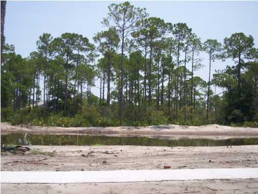 Lot I-1 Driftwood Point Road Santa Rosa Beach, FL 32459 - Photo 3 of 5 a view of a yard and a house