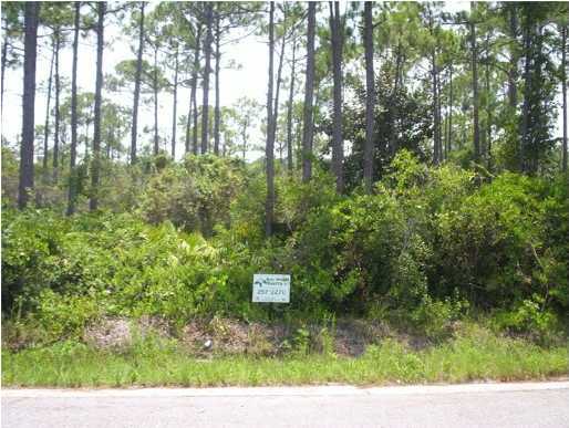 Lot I-1 Driftwood Point Road Santa Rosa Beach, FL 32459 - Photo 4 of 5 a picture of trees