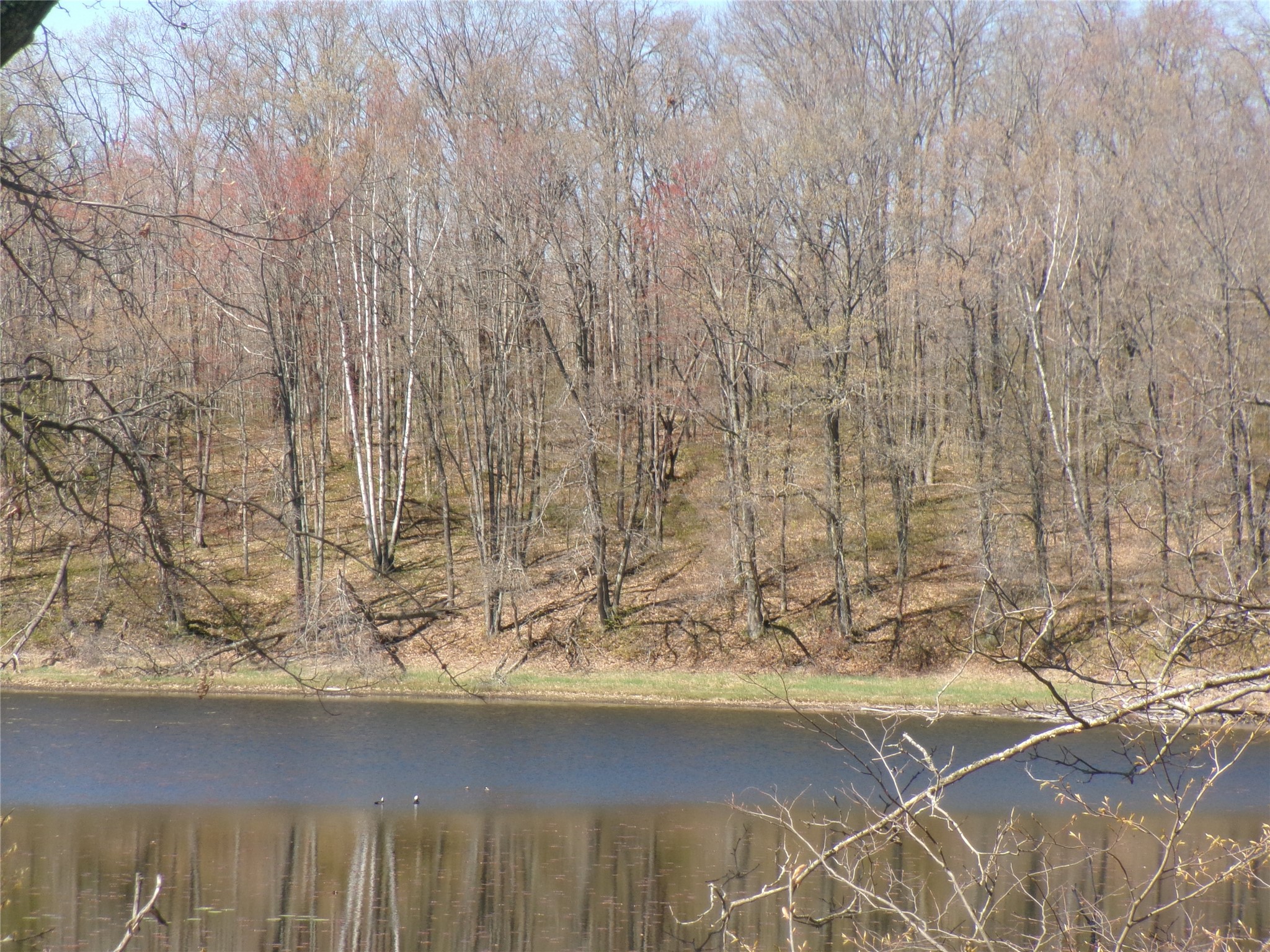 35410 Moody Lake Road Sarona, WI 54870 - Photo 13 of 14