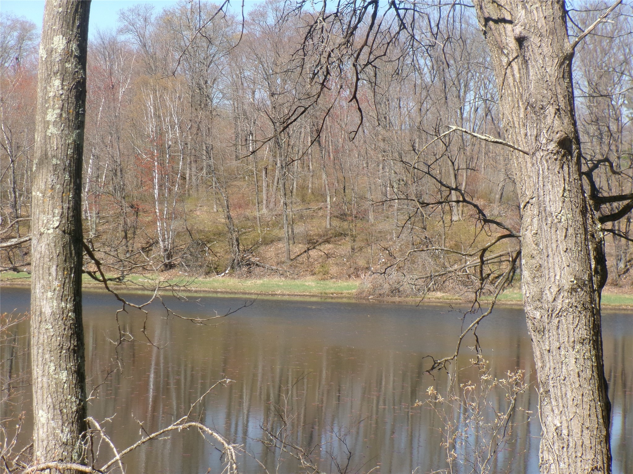 35410 Moody Lake Road Sarona, WI 54870 - Photo 14 of 14
