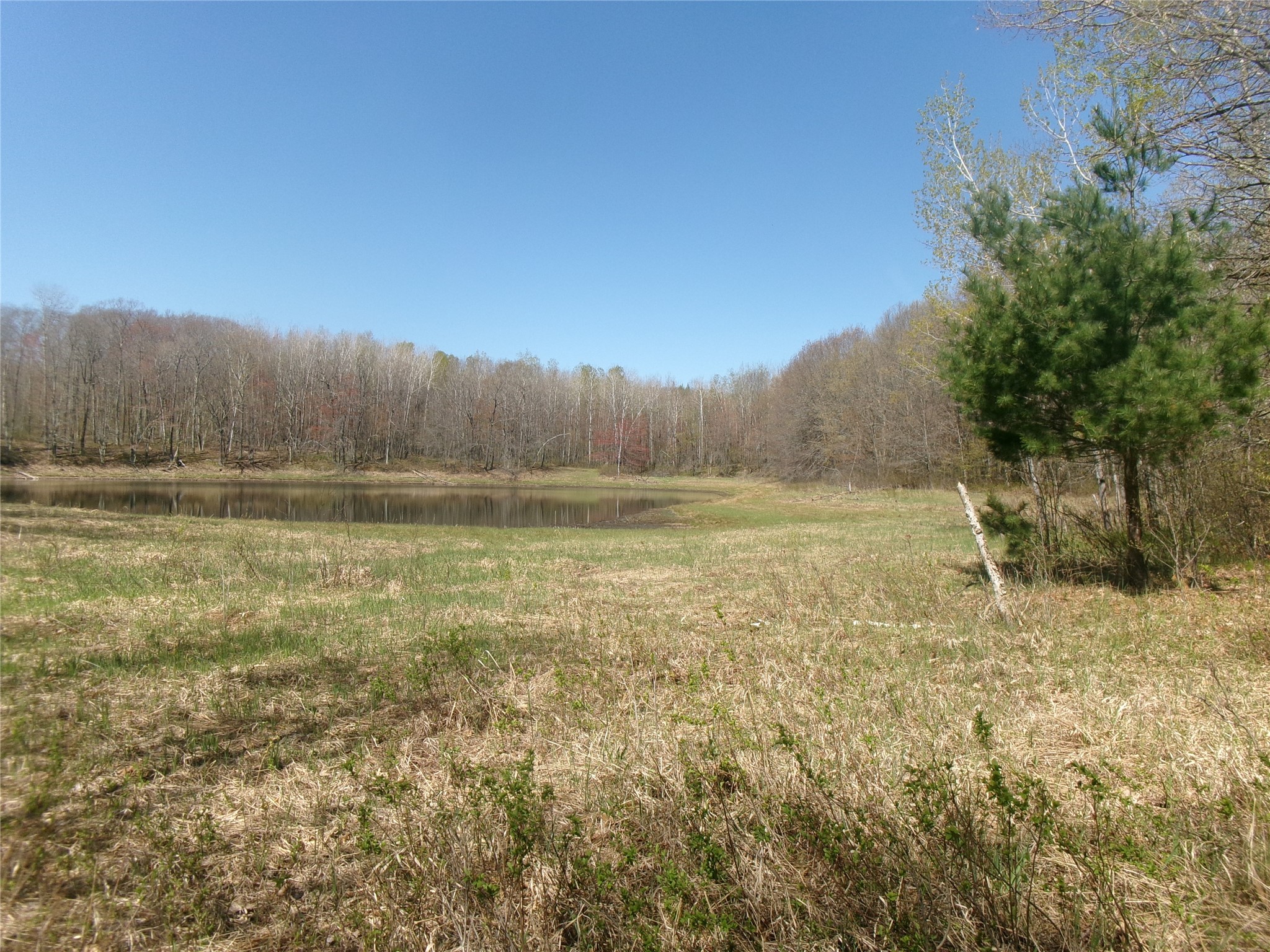 35410 Moody Lake Road Sarona, WI 54870 - Photo 3 of 14