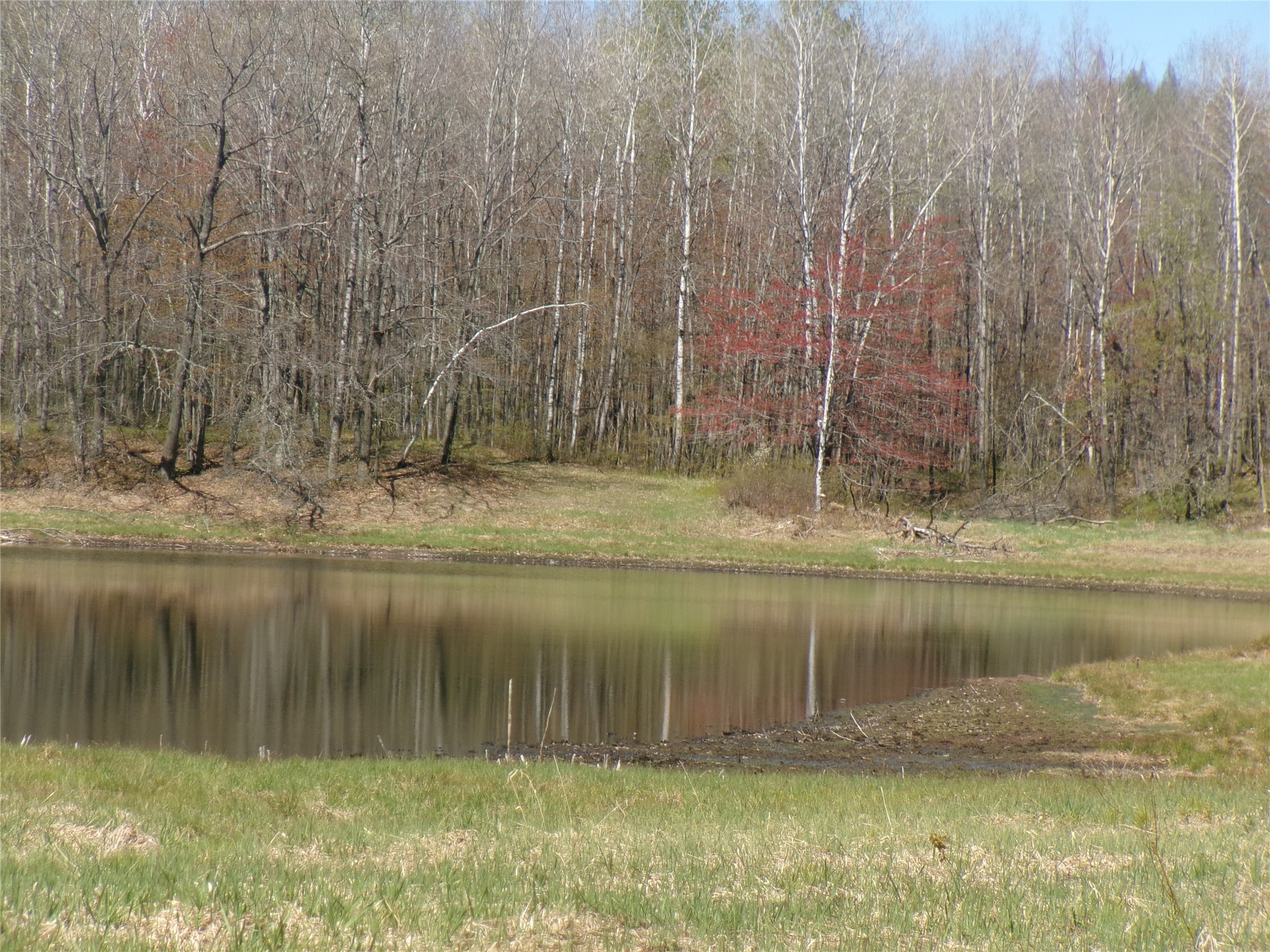 35410 Moody Lake Road Sarona, WI 54870 - Photo 4 of 14
