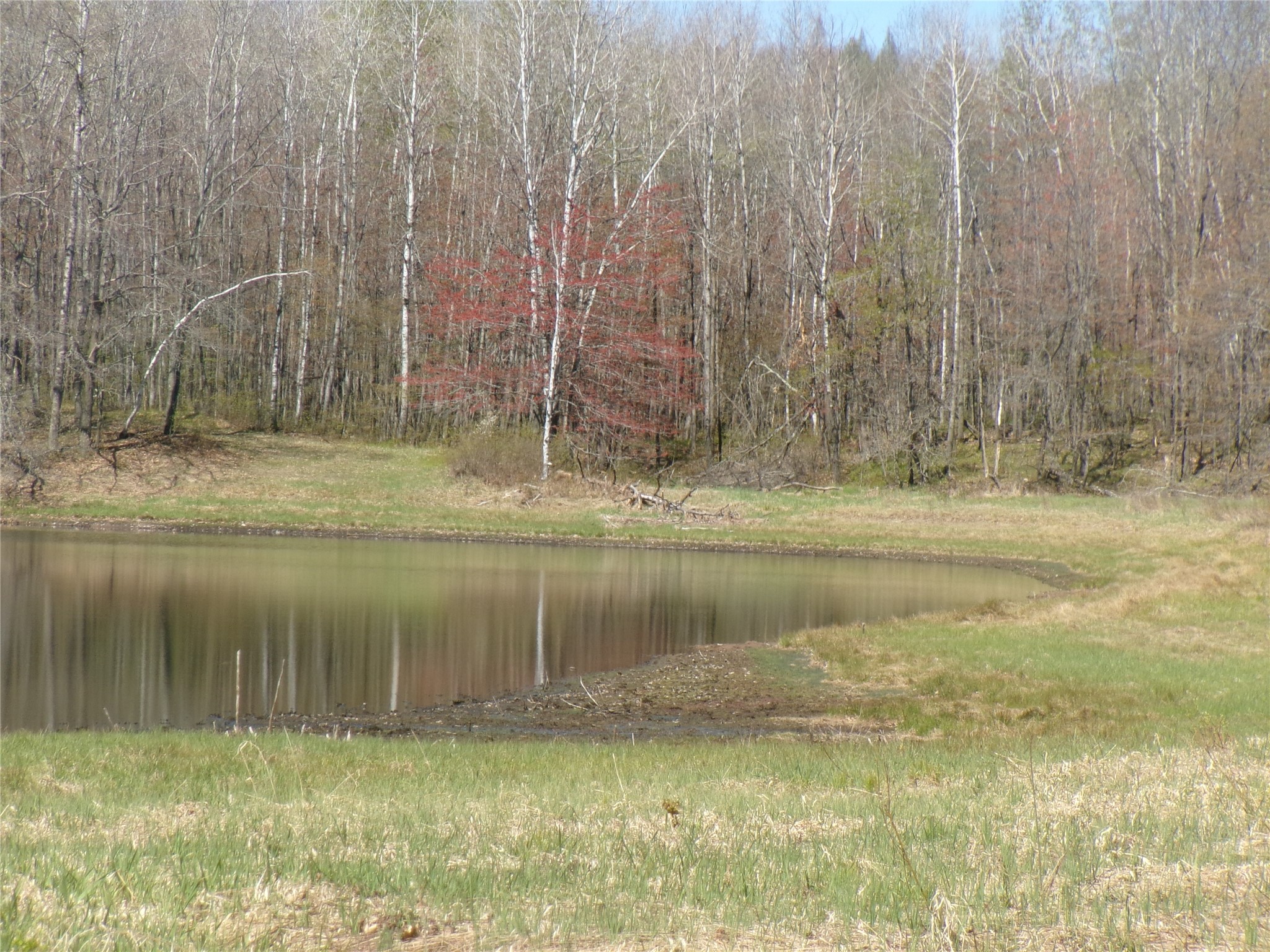 35410 Moody Lake Road Sarona, WI 54870 - Photo 5 of 14