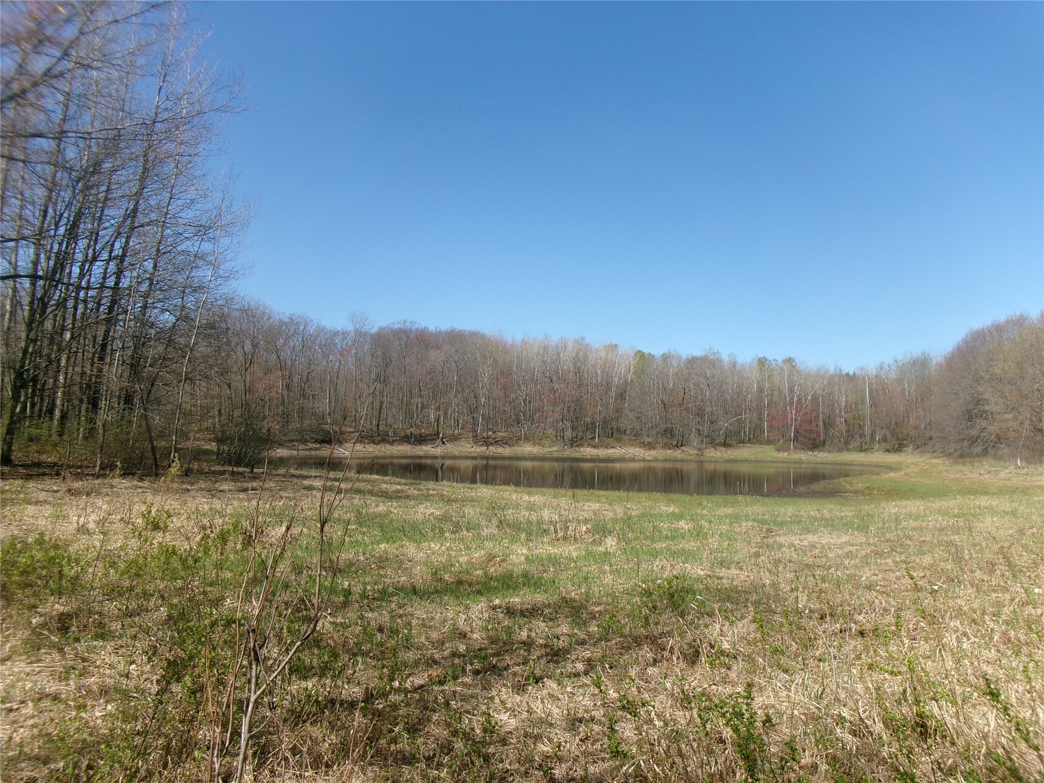 35410 Moody Lake Road Sarona, WI 54870 - Photo 6 of 14