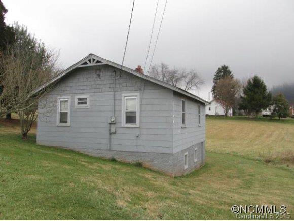 1101 Phillipsville Loop Canton, NC 28716 - Photo 2 of 9