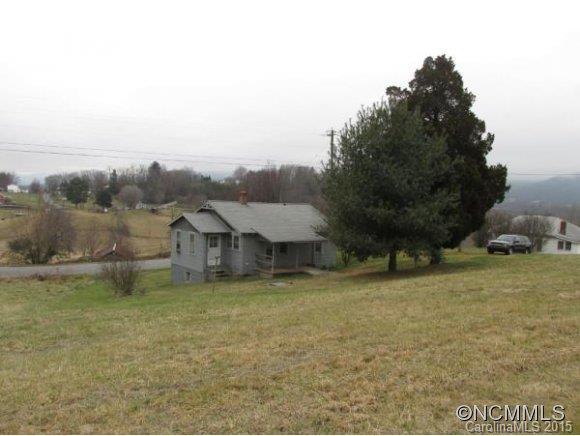 1101 Phillipsville Loop Canton, NC 28716 - Photo 4 of 9