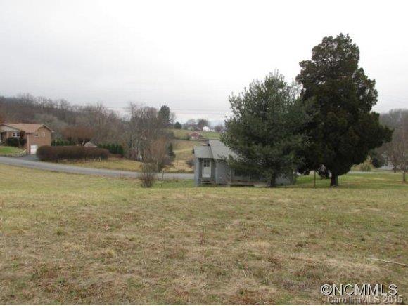 1101 Phillipsville Loop Canton, NC 28716 - Photo 5 of 9