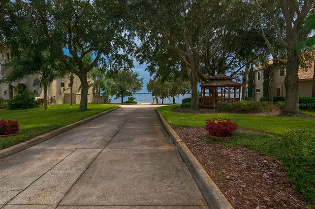 a view of a park with large trees and a pathway