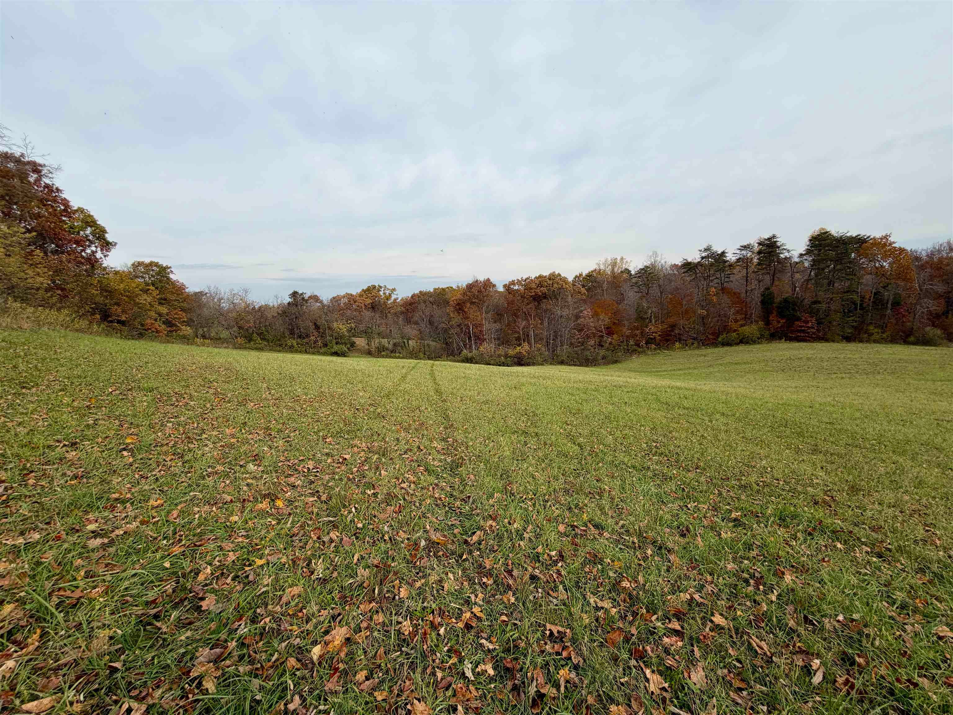 23765 Charleston Road Leon, WV 25123 - Photo 16 of 32 Gallery Image 16