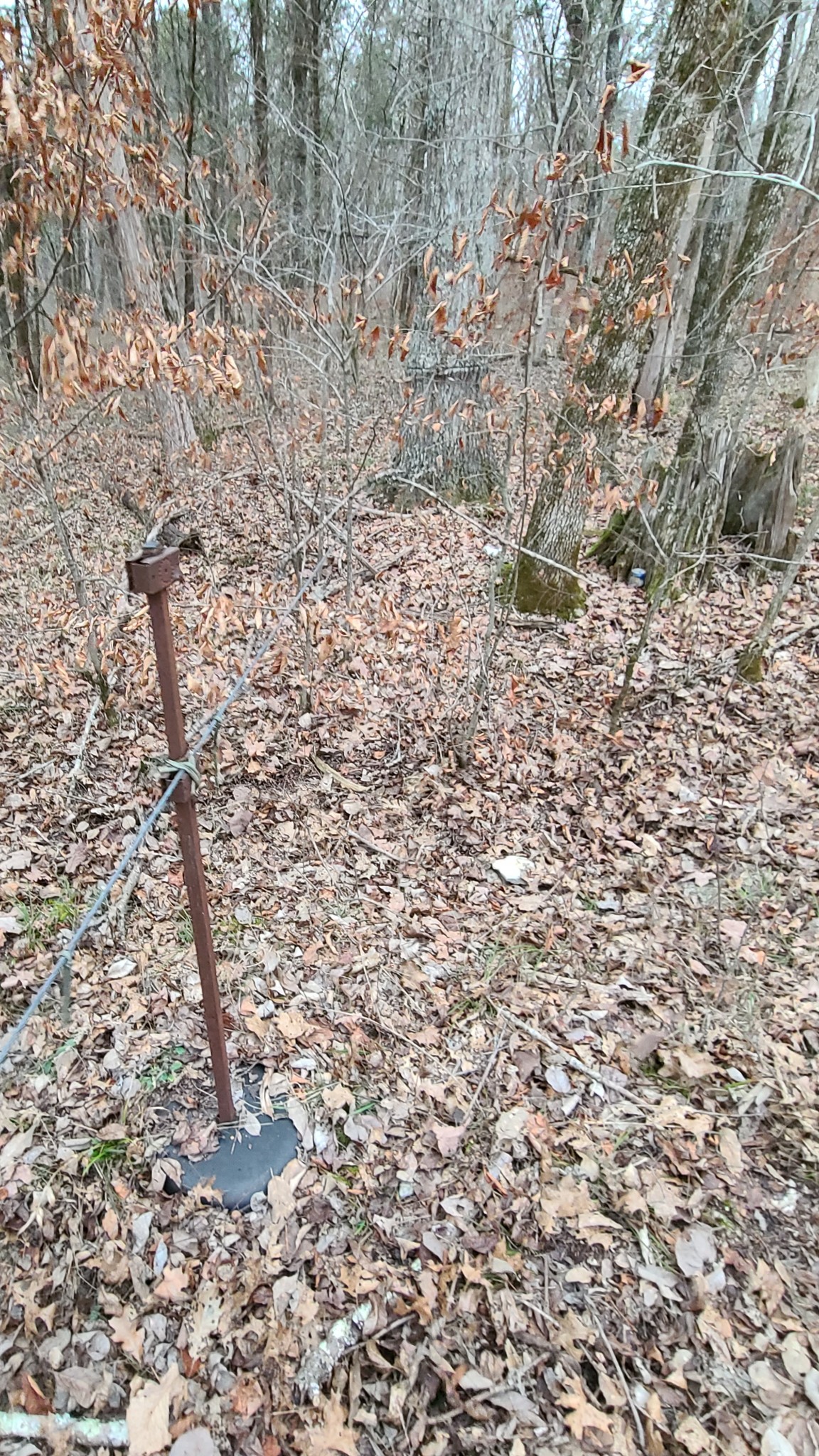 0 Sharp Lane Columbia, TN 38401 - Photo 3 of 7