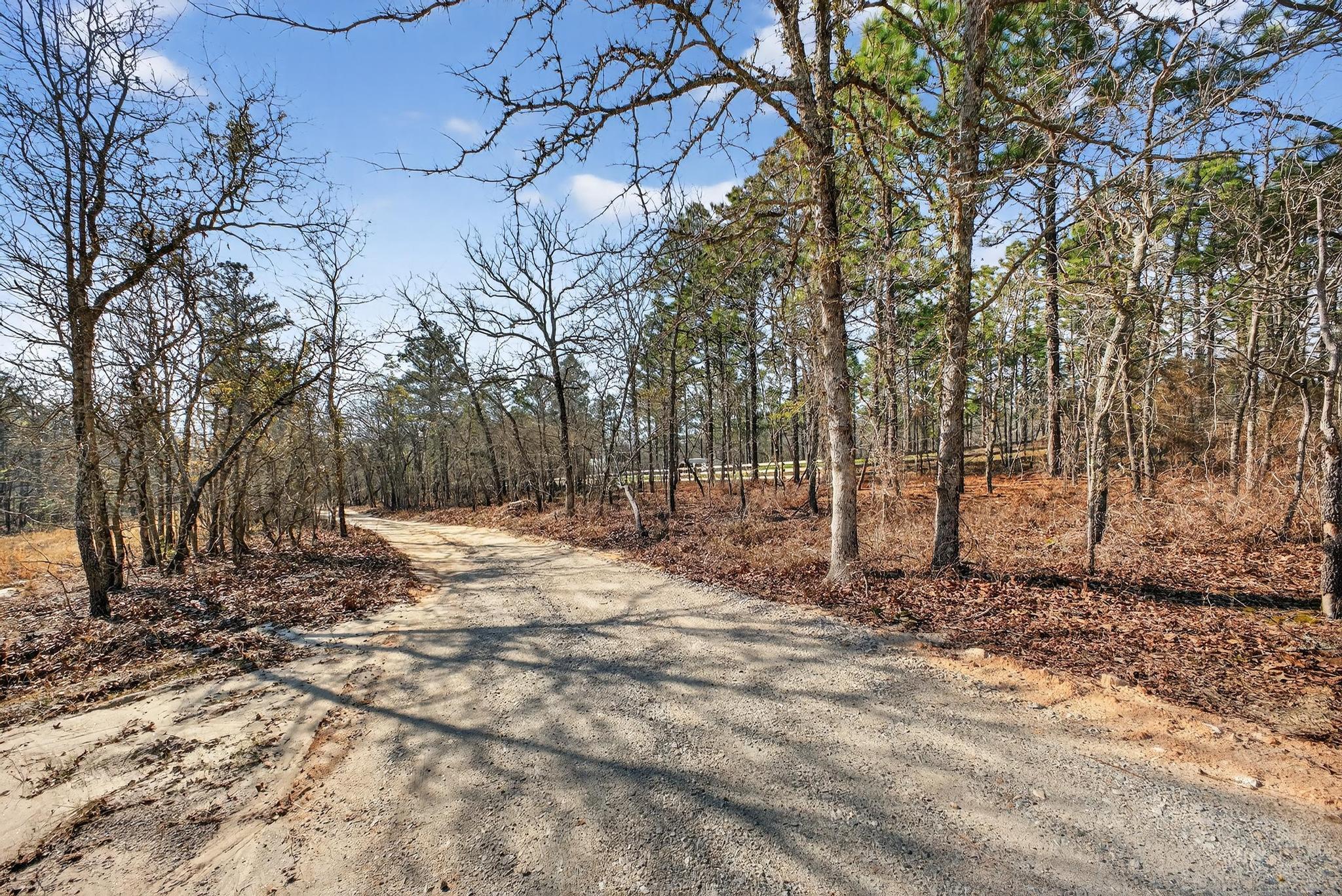 316 Cadle Crossing Road Windsor, SC 29856 - Photo 29 of 30