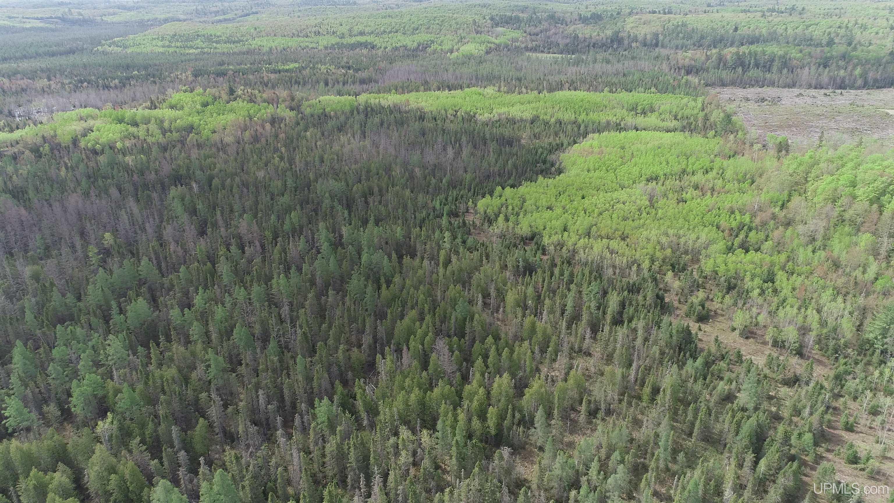 280-acres County Road CCN Road Negaunee, MI 49866 - Photo 42 of 48