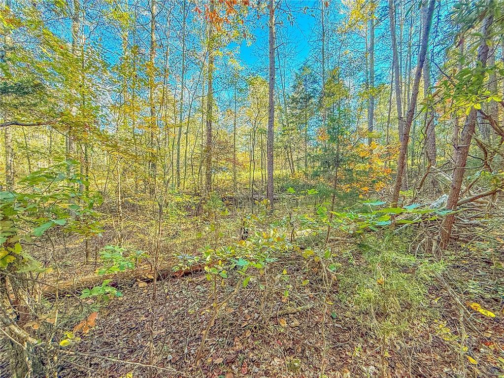 0 Eagle Claw Court Martin, GA 30557 - Photo 5 of 10