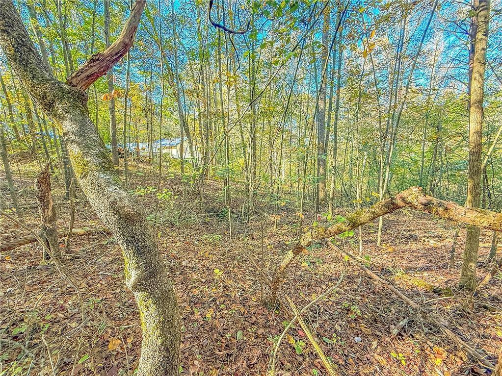 0 Eagle Claw Court Martin, GA 30557 - Photo 6 of 10