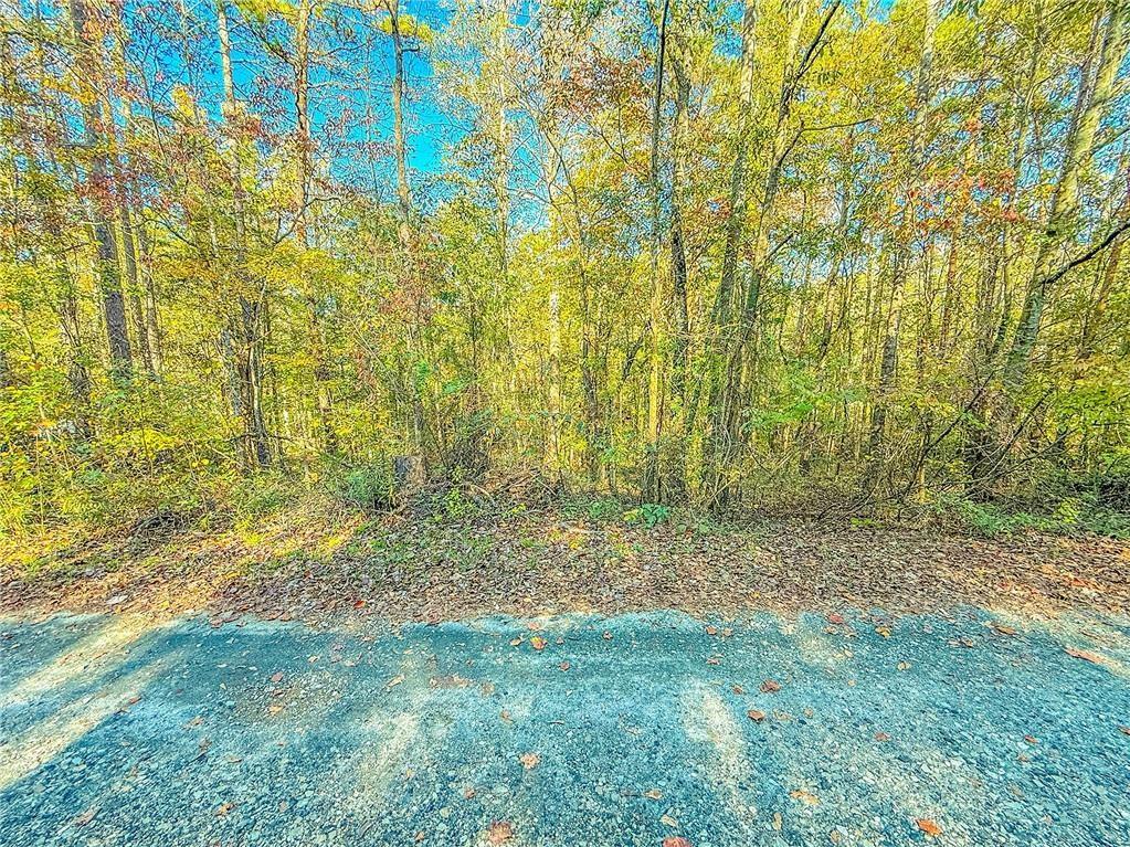 0 Eagle Claw Court Martin, GA 30557 - Photo 7 of 10