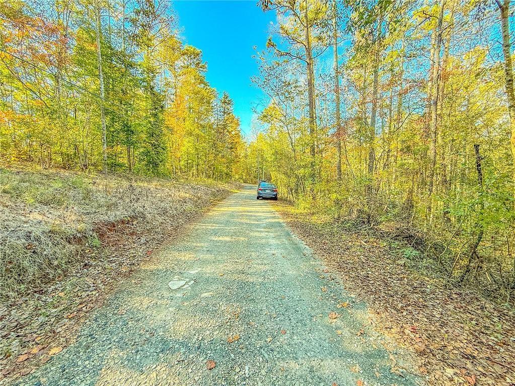 0 Eagle Claw Court Martin, GA 30557 - Photo 8 of 10