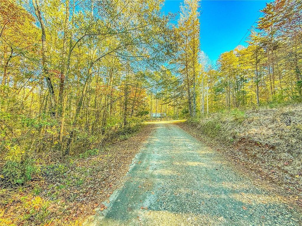 0 Eagle Claw Court Martin, GA 30557 - Photo 9 of 10