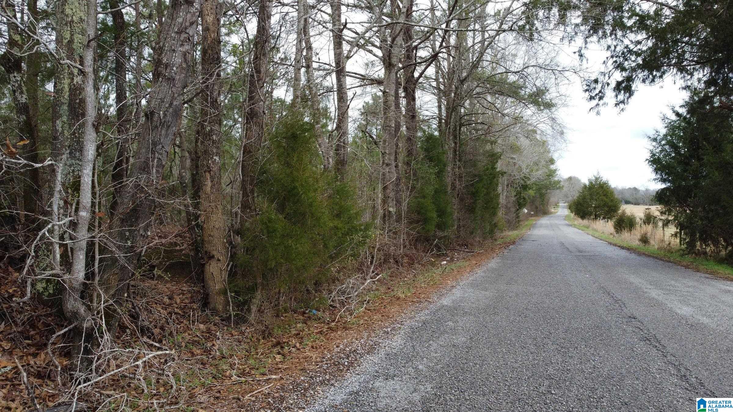 0 County Road 511, Unit 1 Verbena, AL 36091 - Photo 6 of 10
