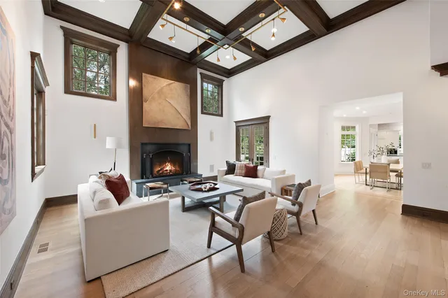 a living room with furniture a fireplace and wooden floor