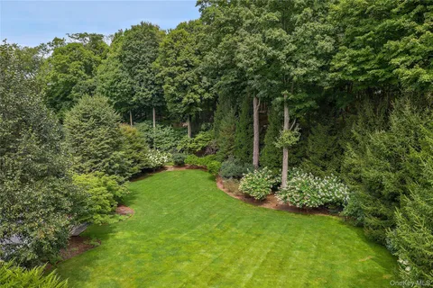 a view of a lush green forest