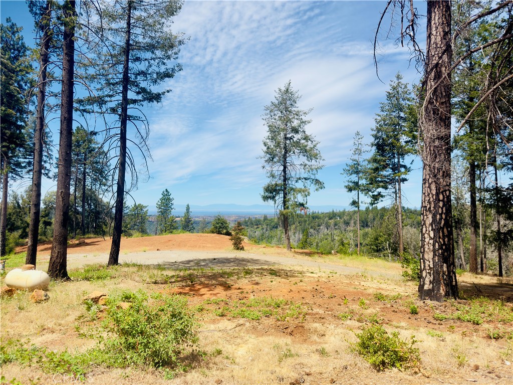 1400 Bader Mine Road Paradise, CA 95969 - Photo 2 of 16