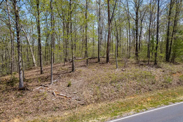 a view of outdoor space with trees