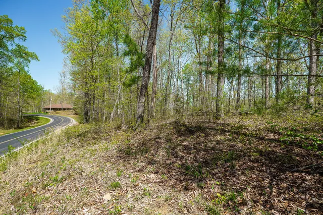 a view of backyard with green space
