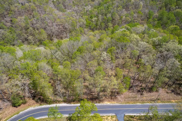 a view of yard with large trees