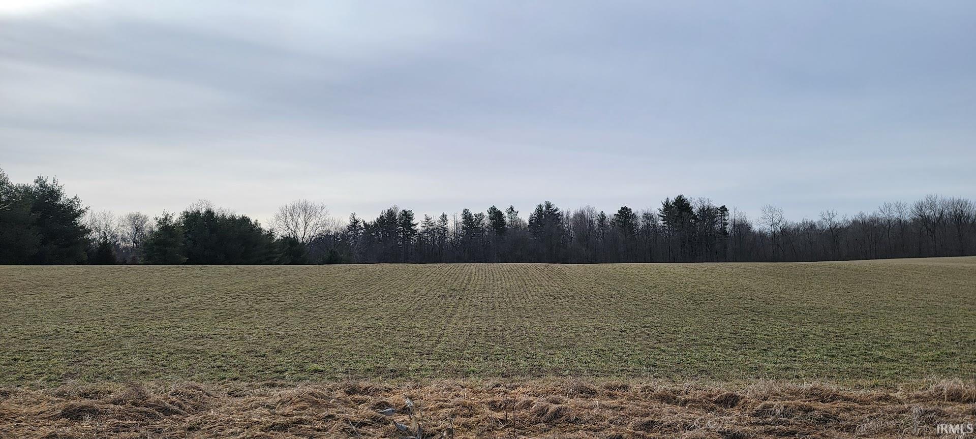 0 North County Line Road East Spencerville, IN 46788 - Photo 8 of 27