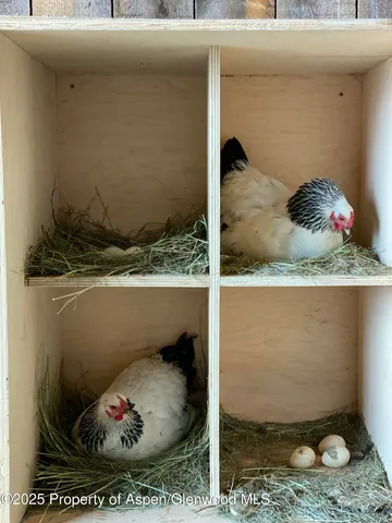 $540,000 | 545 Knoll Avenue, Craig, CO 81625