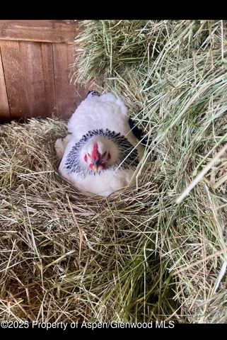 $540,000 | 545 Knoll Avenue, Craig, CO 81625