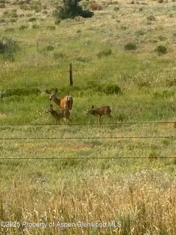 $540,000 | 545 Knoll Avenue, Craig, CO 81625