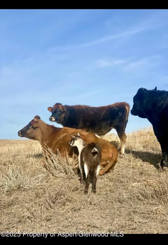 $540,000 | 545 Knoll Avenue, Craig, CO 81625