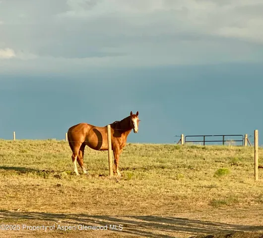 $540,000 | 545 Knoll Avenue, Craig, CO 81625