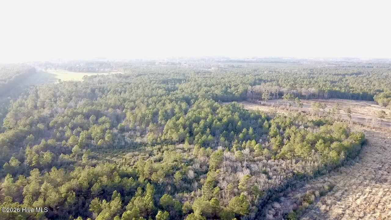0 Rogers Mill Road Rose Hill, NC 28458 - Photo 6 of 62 2025-12-24-16-06-12-642