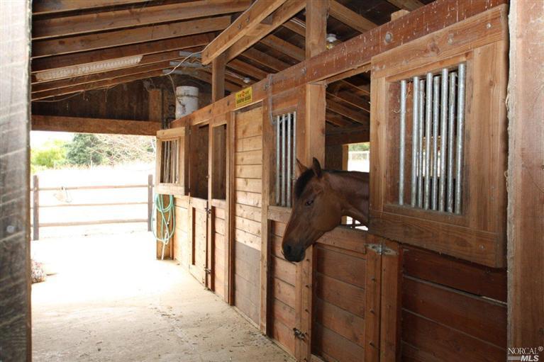 1444 Cooper Road Sebastopol, CA 95472 - Photo 1 of 1 Great Barn has two stall with runs, a large aisle, separate tack room and is connected to the hay storage and trailer parking areas. Very convenient set up.
