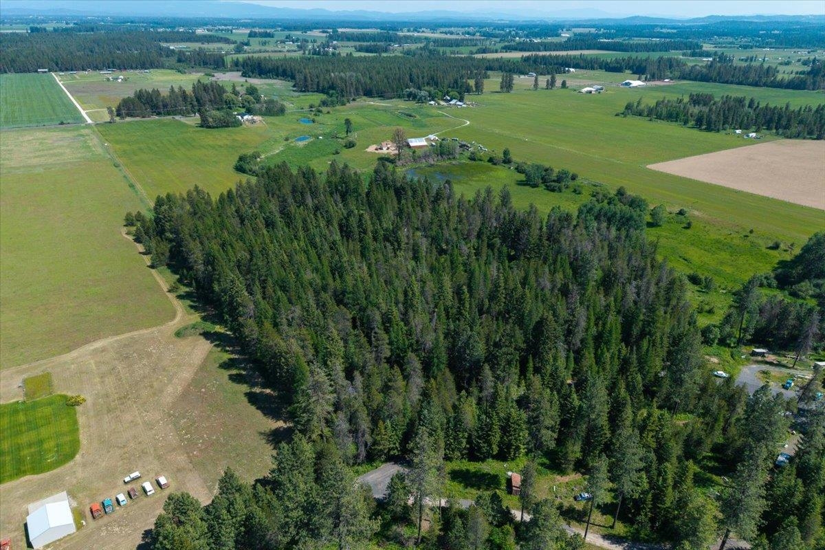 4668 Williams Valley Road Clayton, WA 99110 - Photo 14 of 44