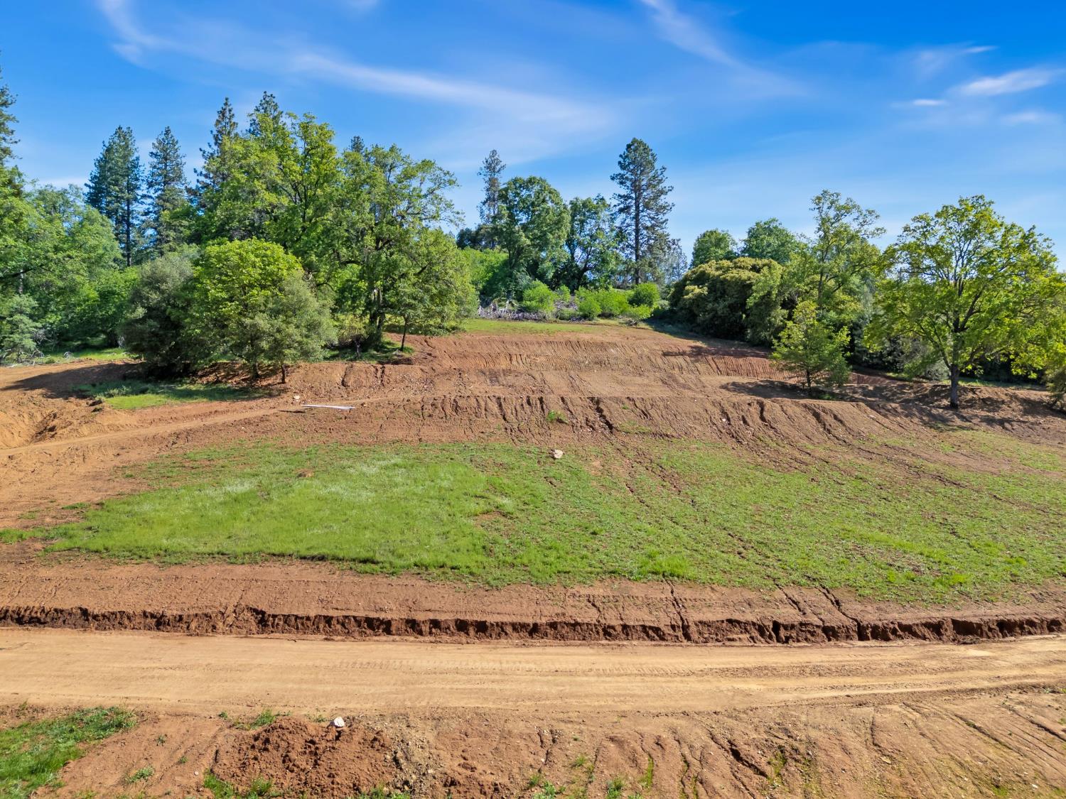0 Northern Lights Road Placerville, CA 95667 - Photo 12 of 25 a view of a yard with a house