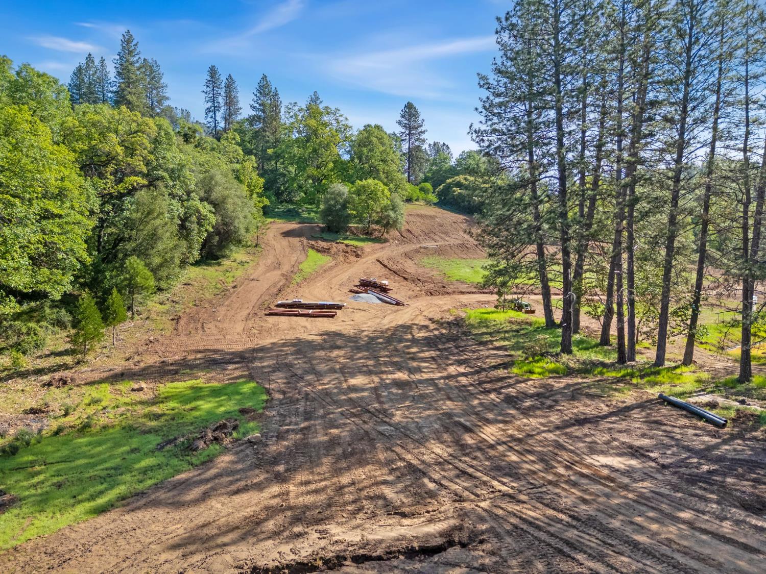 0 Northern Lights Road Placerville, CA 95667 - Photo 14 of 25 a view of a park with large trees
